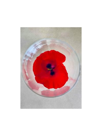 Rêveries bocaliques - Coquelicot 3.jpg